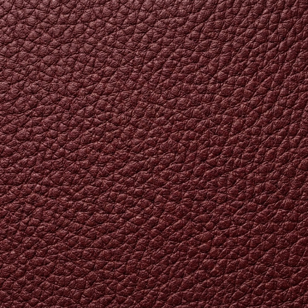 多色荔枝紋質感皮革-男 Multicolor pebbled leather material palette-Male